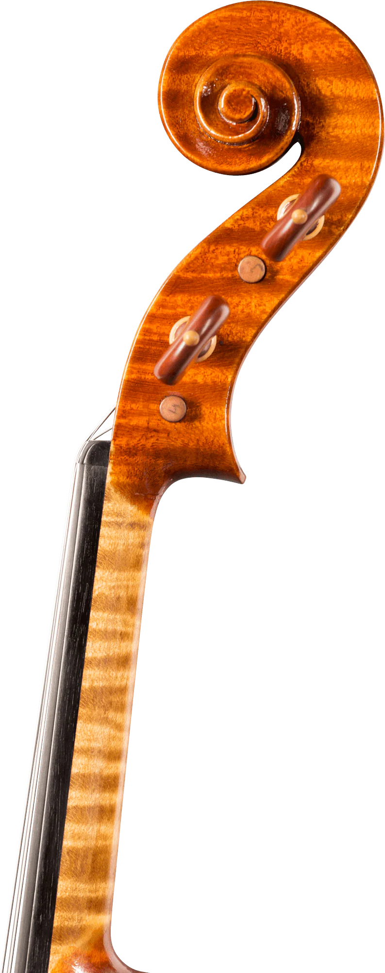 Stefano Trabucchi Violin, Cremona, 2016 - Image 5