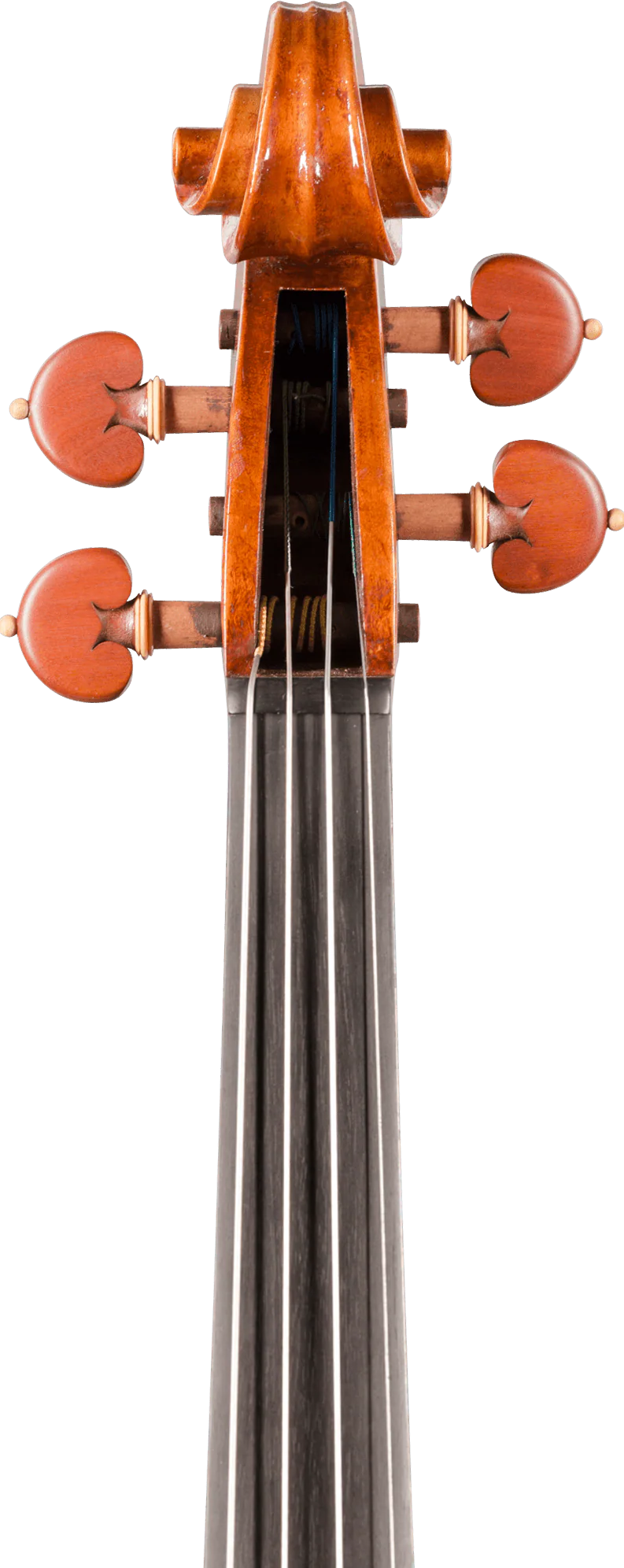 Stefano Trabucchi Violin, Cremona, 2016 - Image 6