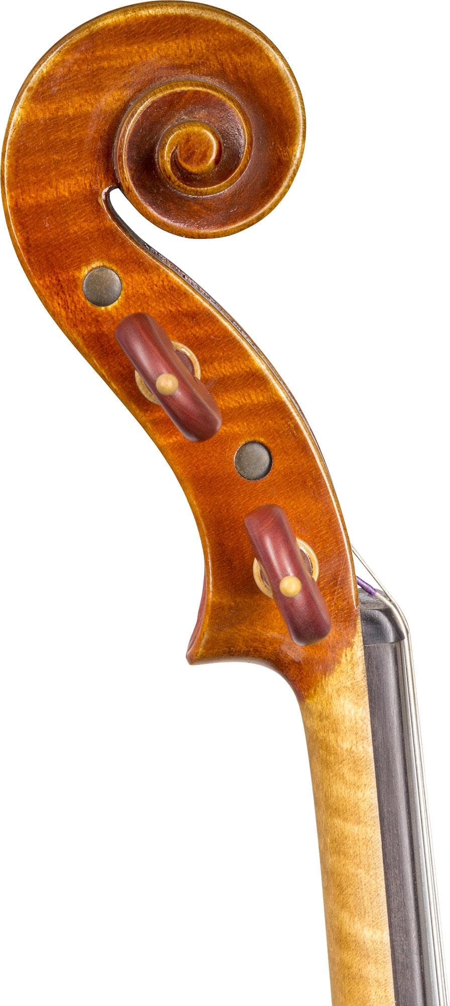 Stefano Trabucchi Violin, Cremona, 2016 - Image 3