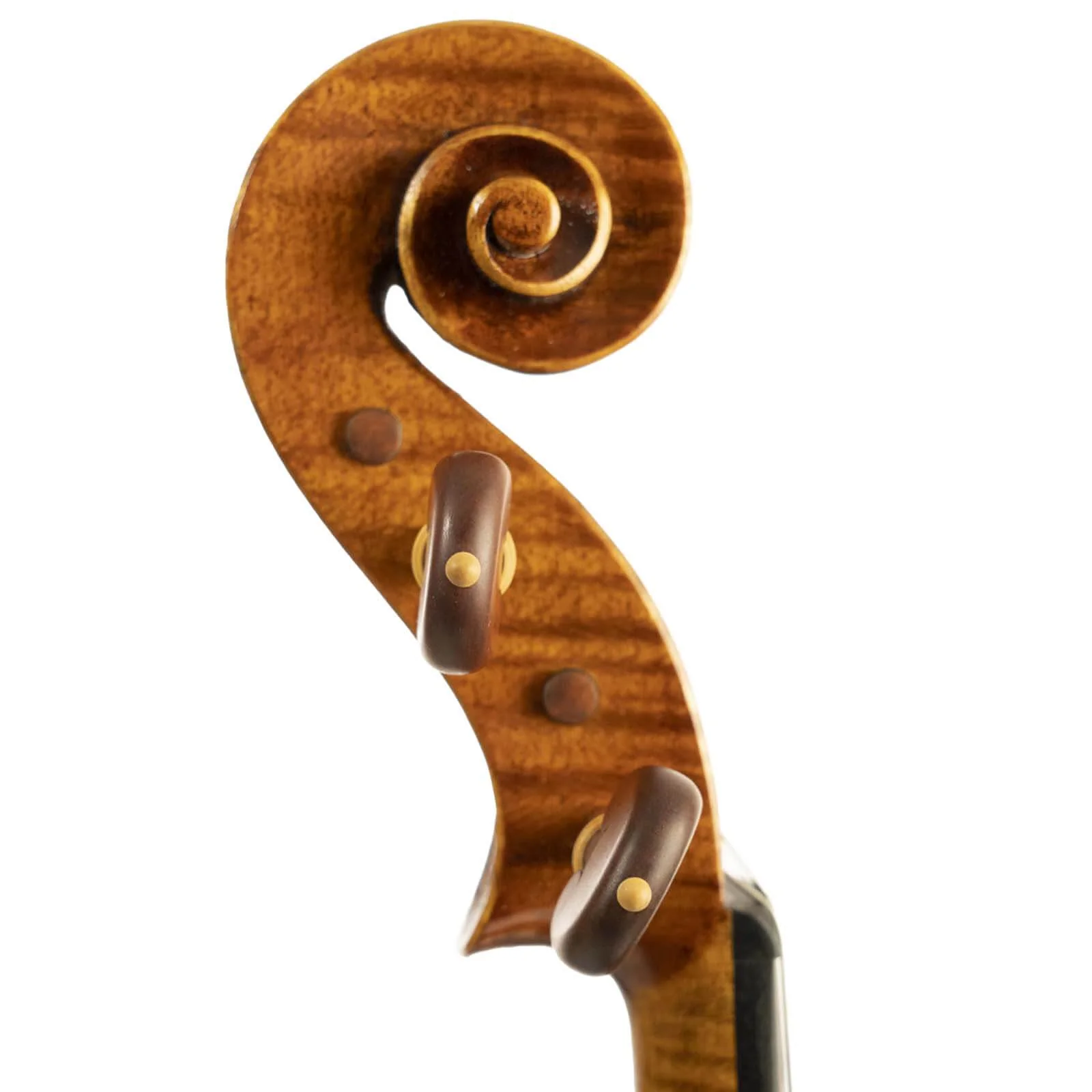Stefano Trabucchi Violin, Cremona, 2021 - Image 3