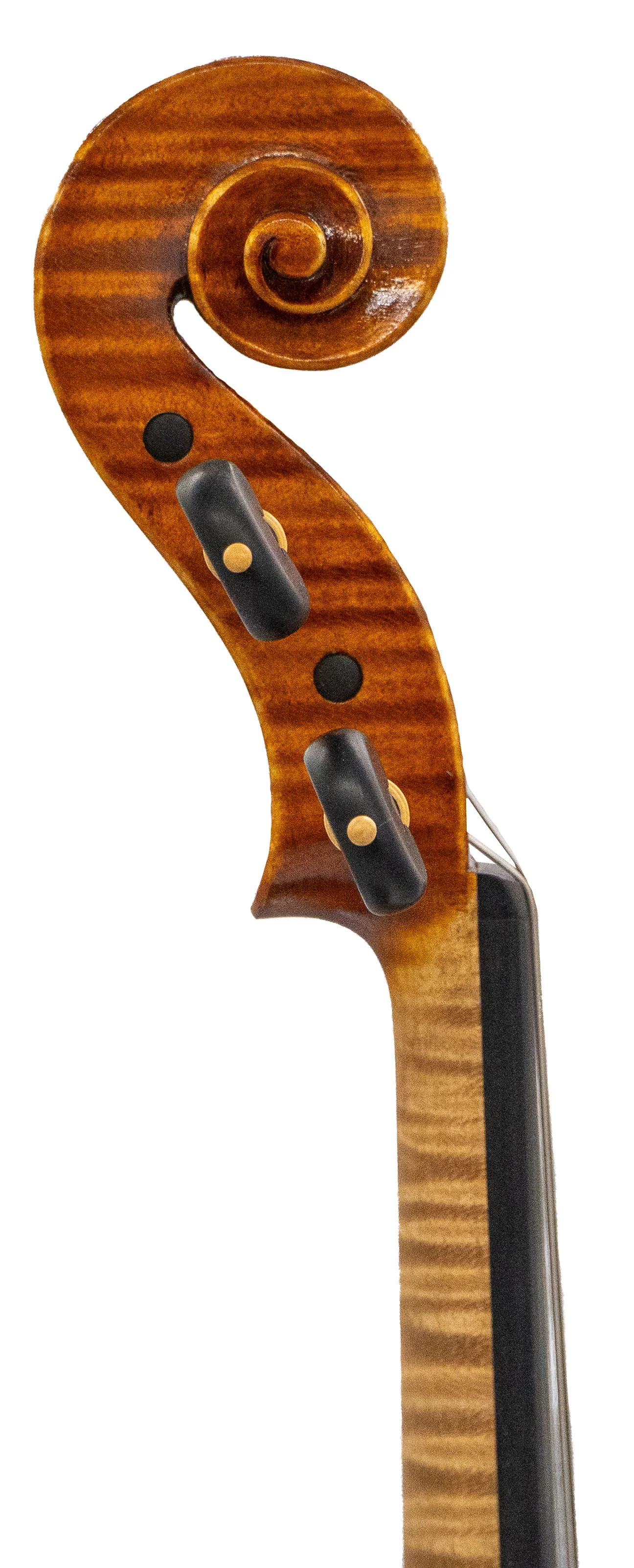 Stefano Trabucchi Violin, Cremona, 2022 - Image 3