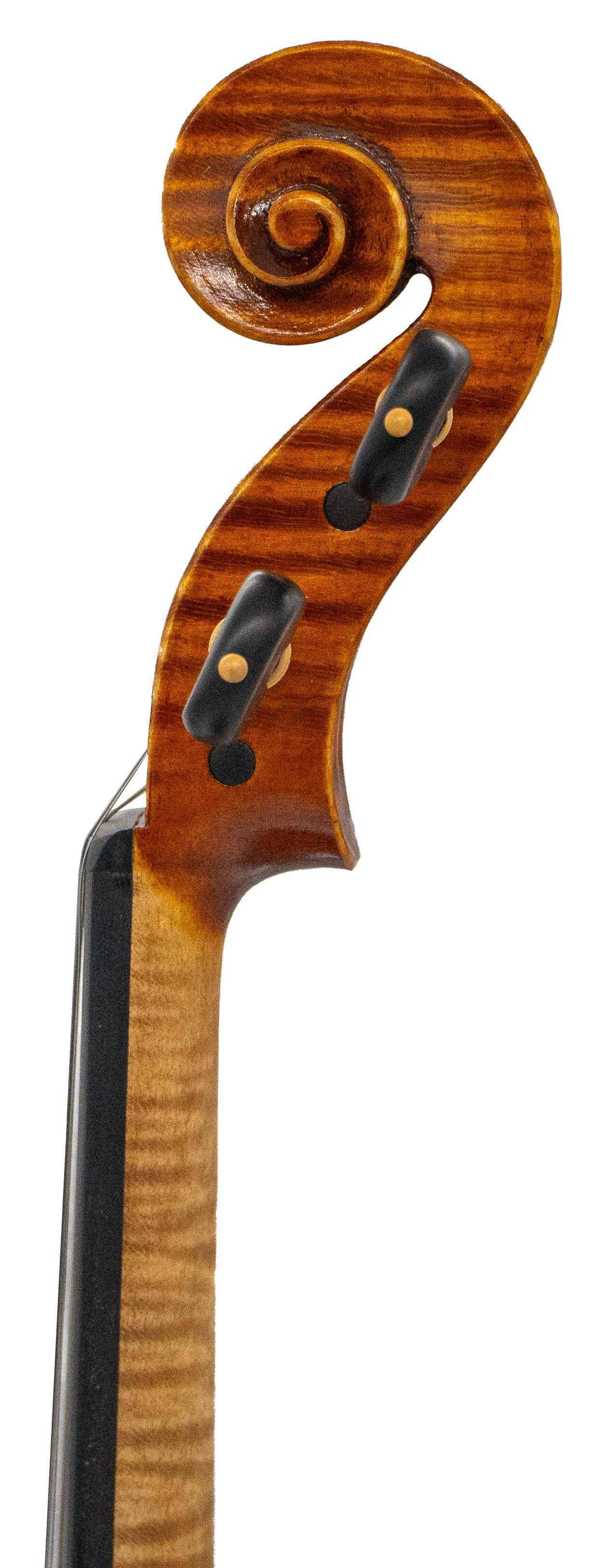 Stefano Trabucchi Violin, Cremona, 2022 - Image 4