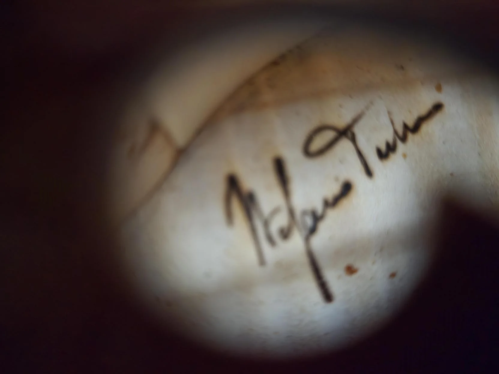 Stefano Trabucchi Violin, Cremona, 2022 - Image 7