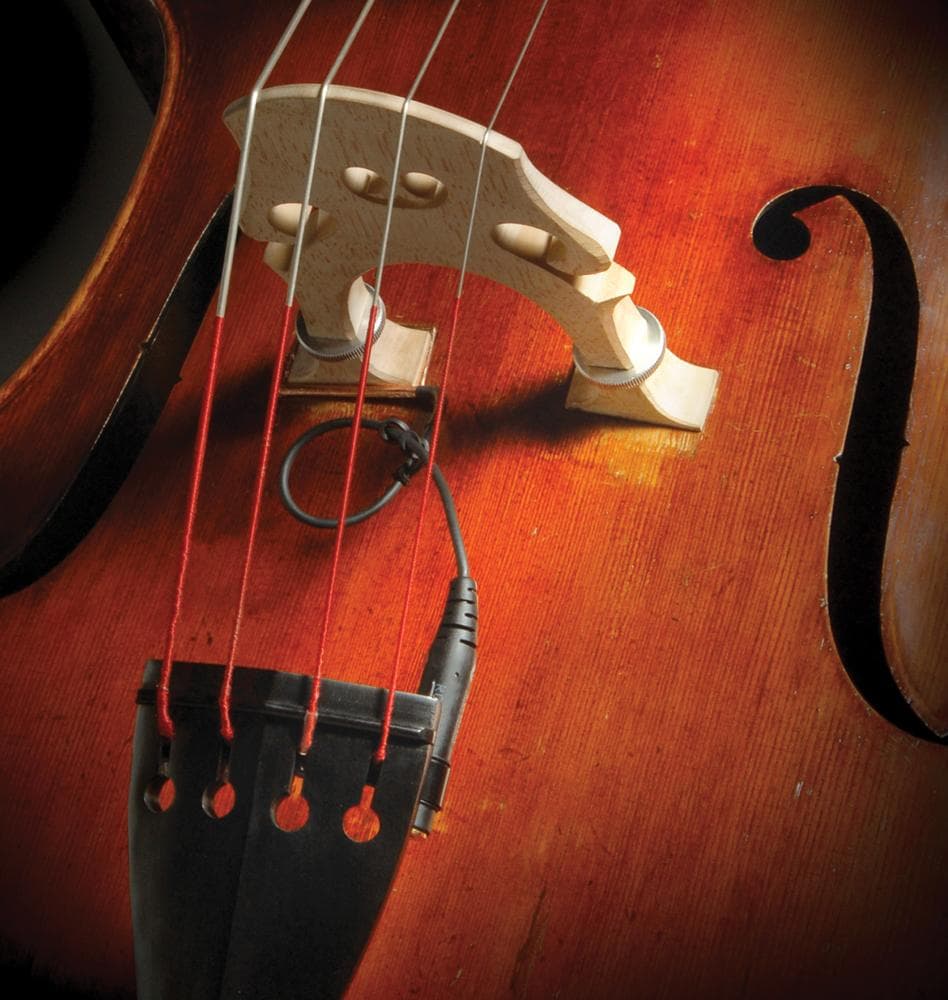Realist WoodTone Pickup for Double Bass