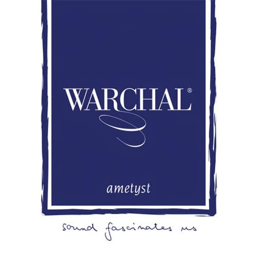 Warchal Ametyst Violin G String