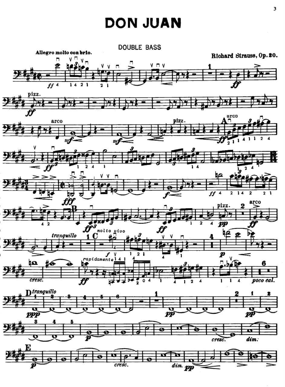 Zimmerman, Oscar - Strauss Tone Poems, For Double Bass - Image 2